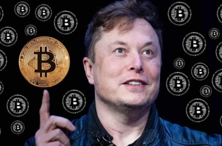 Elon Musk Became the Biggest Influencer in the Cryptocurrency World scaled 2 - How Elon Musk Became the Biggest Influencer in the Cryptocurrency World