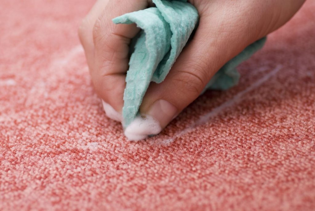 Carpet Cleaning Tips & Tricks That Will Save You a Lot of Money