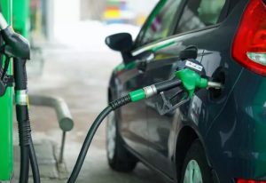 Types of Fuel 2 300x206 - 4 Things To Know About Types Of Fuels Used In Vehicles